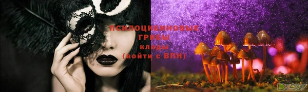 марки lsd Белокуриха