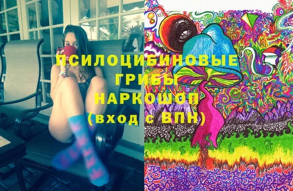 марки lsd Белокуриха