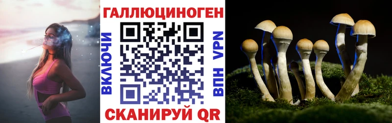Псилоцибиновые грибы мицелий Белорецк
